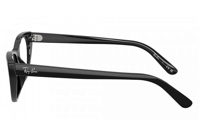 Оправы Ray-Ban RX 5449D 2000 — вид сбоку