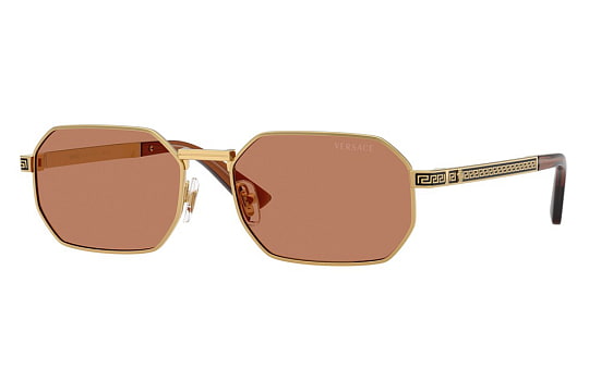 Versace VE 2297 1002/73 D54