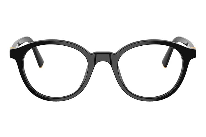 Оправы Miu Miu MU 02WV 16K-1O1 — фронтальный вид