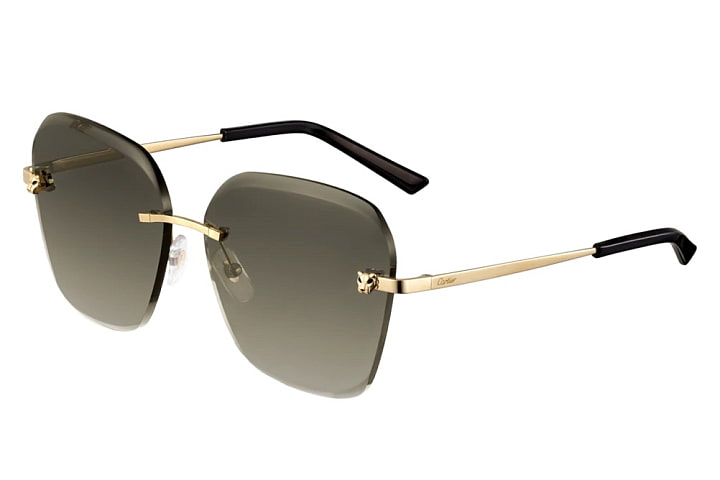 Cartier CT 0147S 002