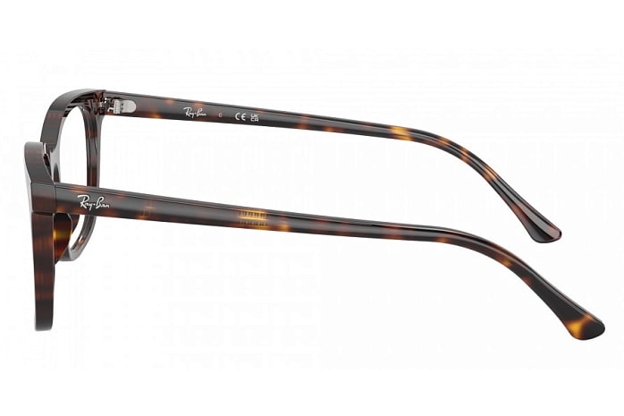 Оправы Ray-Ban RX 5446 2012 — вид сбоку