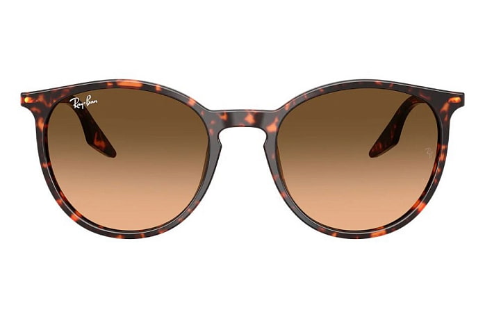 Солнцезащитные очки Ray-Ban RB 2204 1429/3B — фронтальный вид