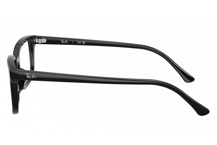 Оправы Ray-Ban RX 5445 2000 — вид сбоку