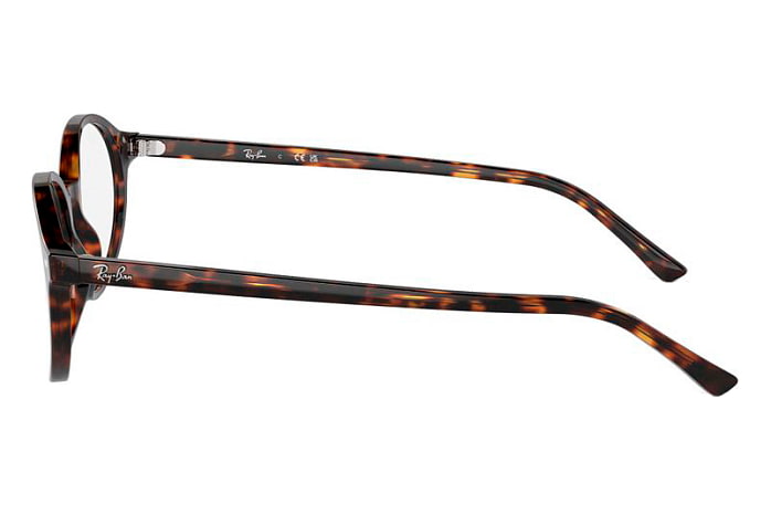 Оправы Ray-Ban RX 5429 2012 — вид сбоку