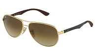 Ray-Ban RB 8313 001/51