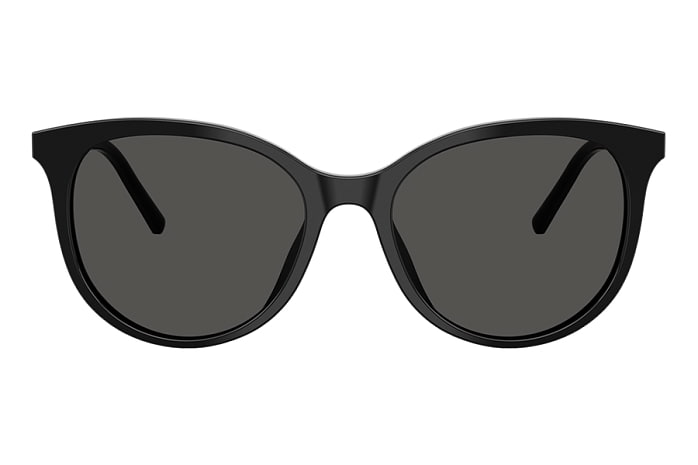 Солнцезащитные очки Dolce & Gabbana DG 4540 501/87 — фронтальный вид