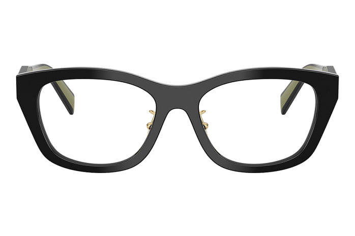Оправы Prada PR D11VD 03K-1O1 — фронтальный вид